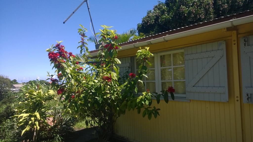 Les Bungalows Du Mont-Auban Sainte-Clotilde Екстериор снимка