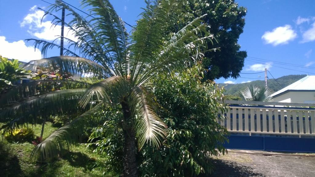 Les Bungalows Du Mont-Auban Sainte-Clotilde Екстериор снимка